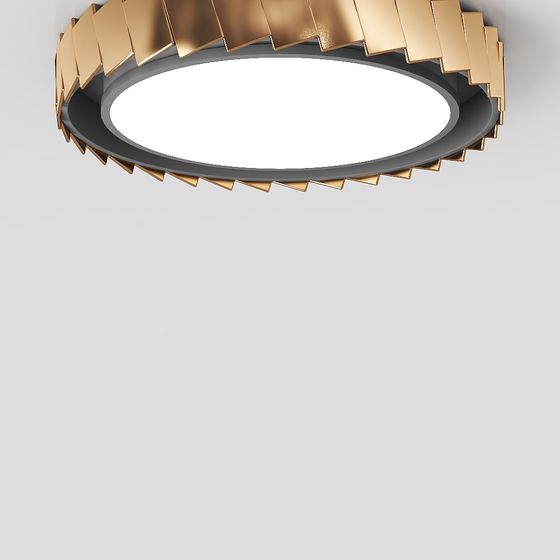 Golden Radiance Ceiling Light 3D model