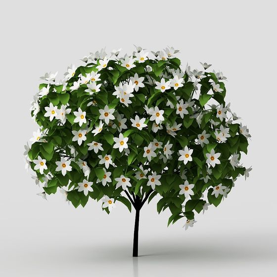 Lush White Blossom Tree 3D model