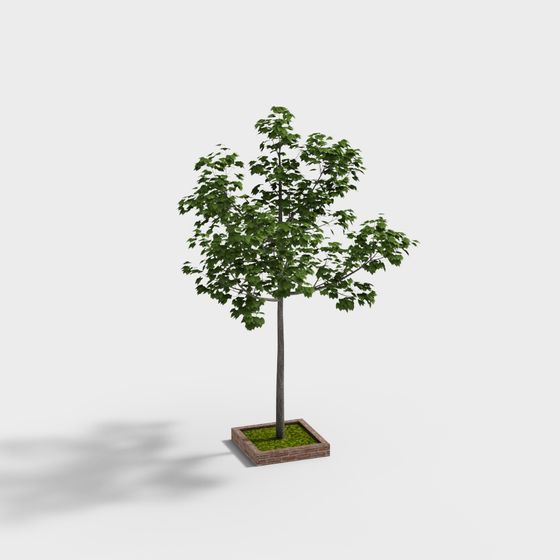 Urban Oasis 3D Model – Lively Tree Design