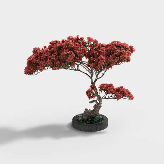 Red Flower Bonsai 3D model
