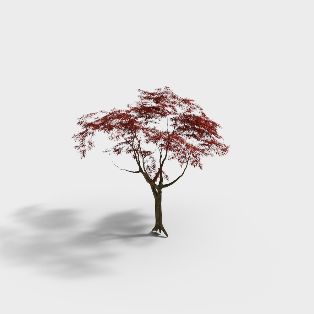 Paesaggio di acero del cortile cinese