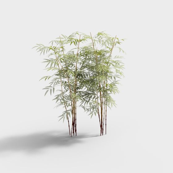 Bamboo Grove Vitality 3D Model