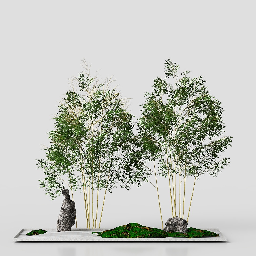 New Chinese garden bamboo landscape