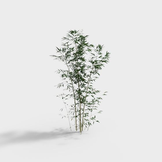 Cảnh quan trồng cây trong khu vườn phong cách Trung Quốc mới