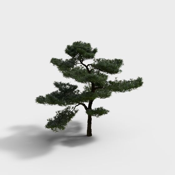 Realistic Low-Poly Pine Tree 3D Model