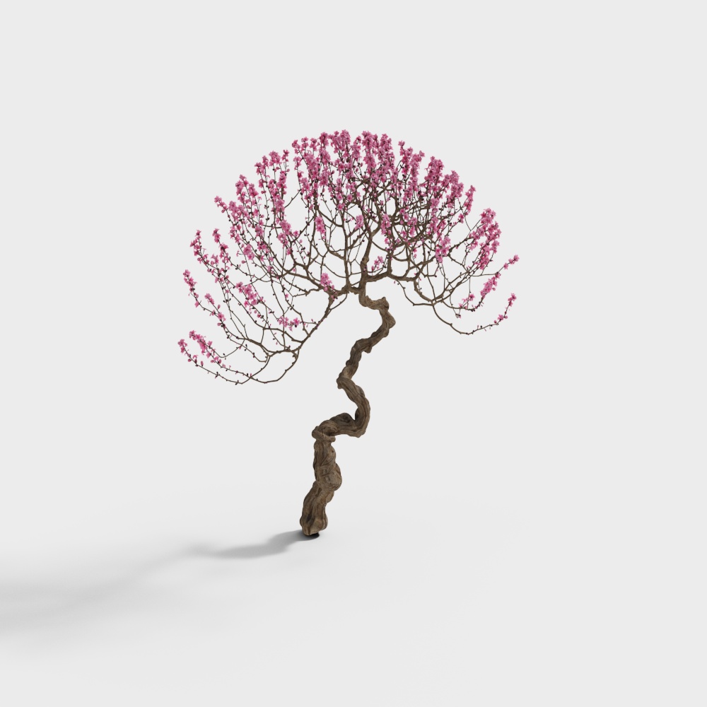 Beautiful Cherry Blossom Tree 3D model