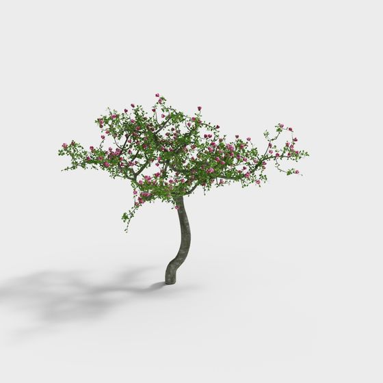 Nouveaux arbres fruitiers de jardin chinois