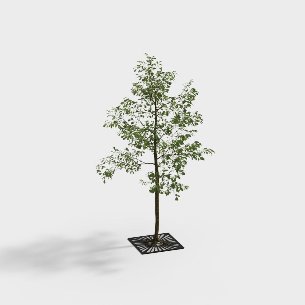 Vibrant Oak Tree 3D Model for Nature Scenes