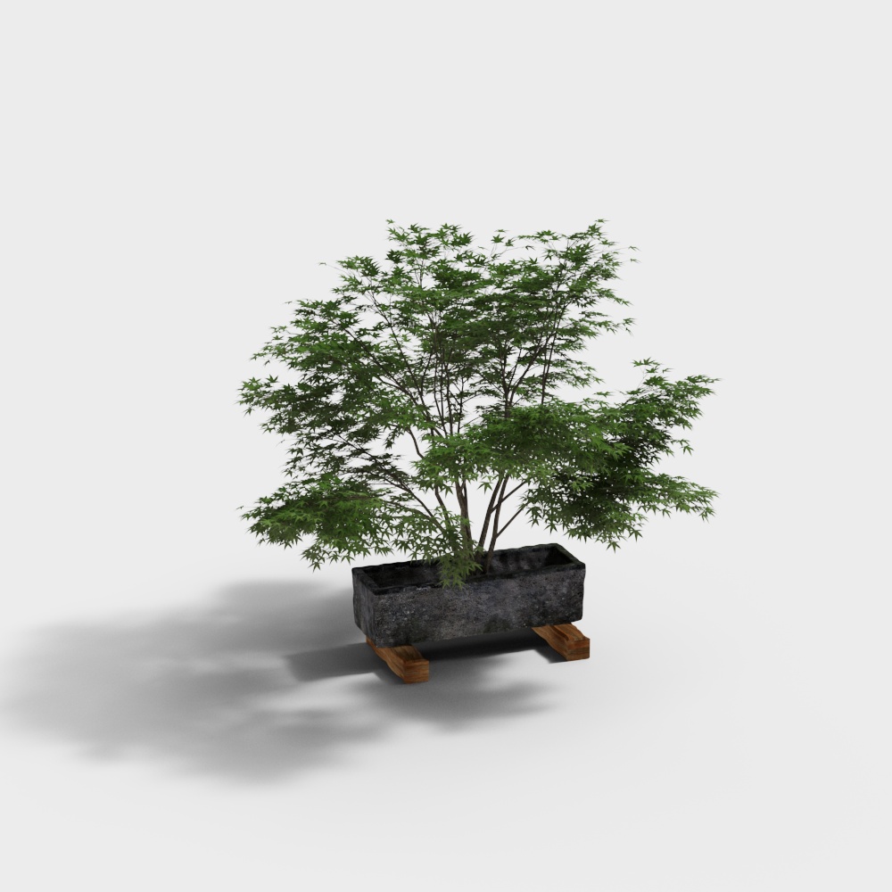 ต้นไม้น้ำตกระเบียงสวนจีนใหม่