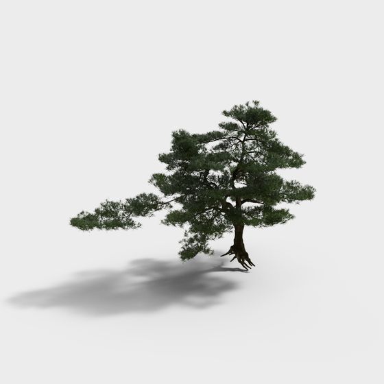 Realistic Low-Poly Pine Tree 3D model