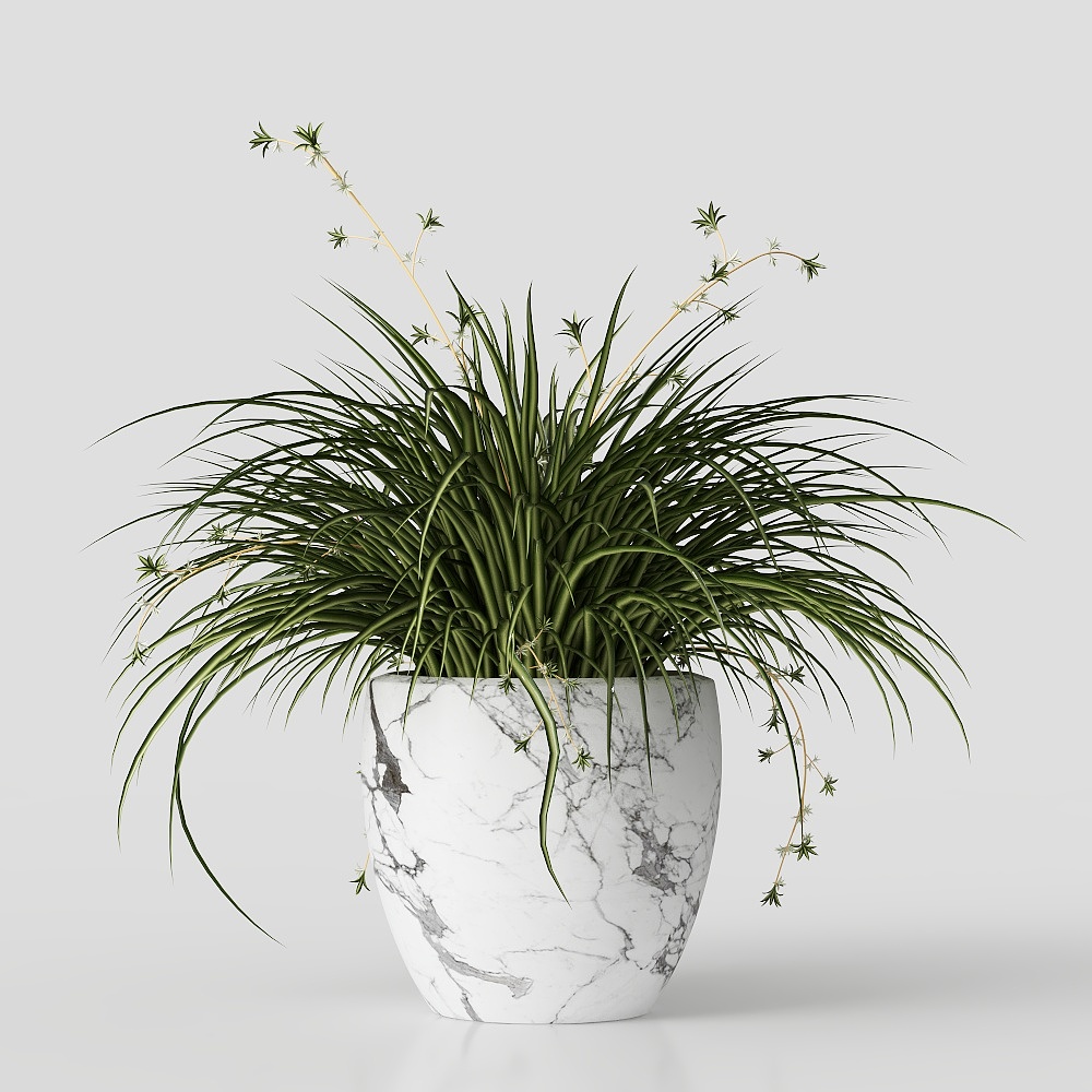 Décoration de magasin de vêtements moderne