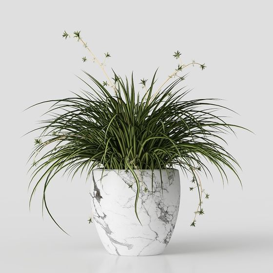 Décoration de magasin de vêtements moderne