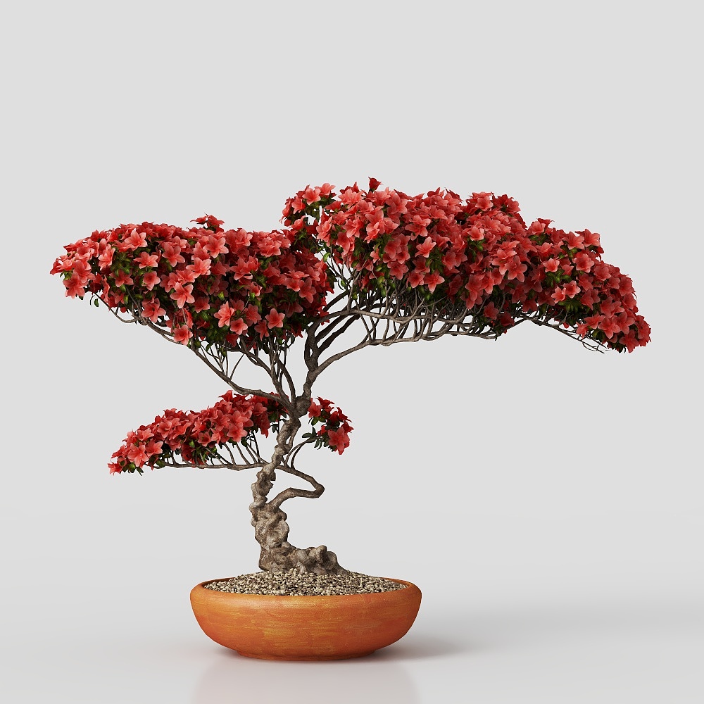New Chinese style garden bonsai