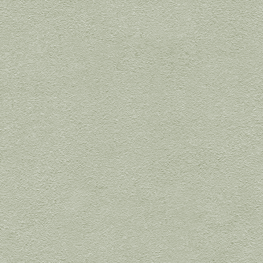 Light green Real Stone paint - Paint -1000*1000