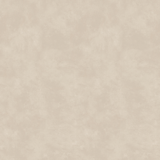 Beige Earth Color Microcement Paint 3D Model