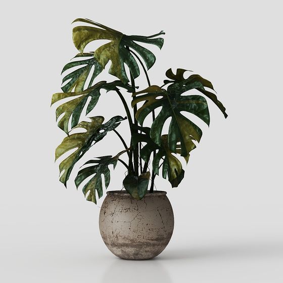 Tropical Flora 3D Model for Designers