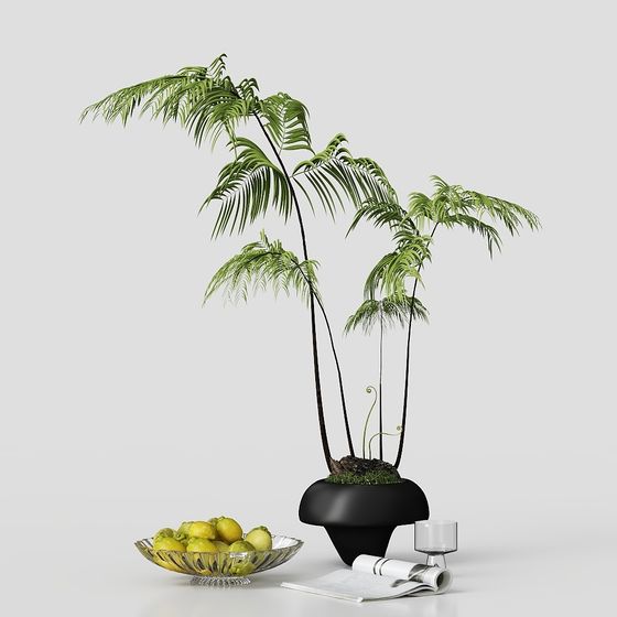 Lush Indoor Plant Combo 3D model