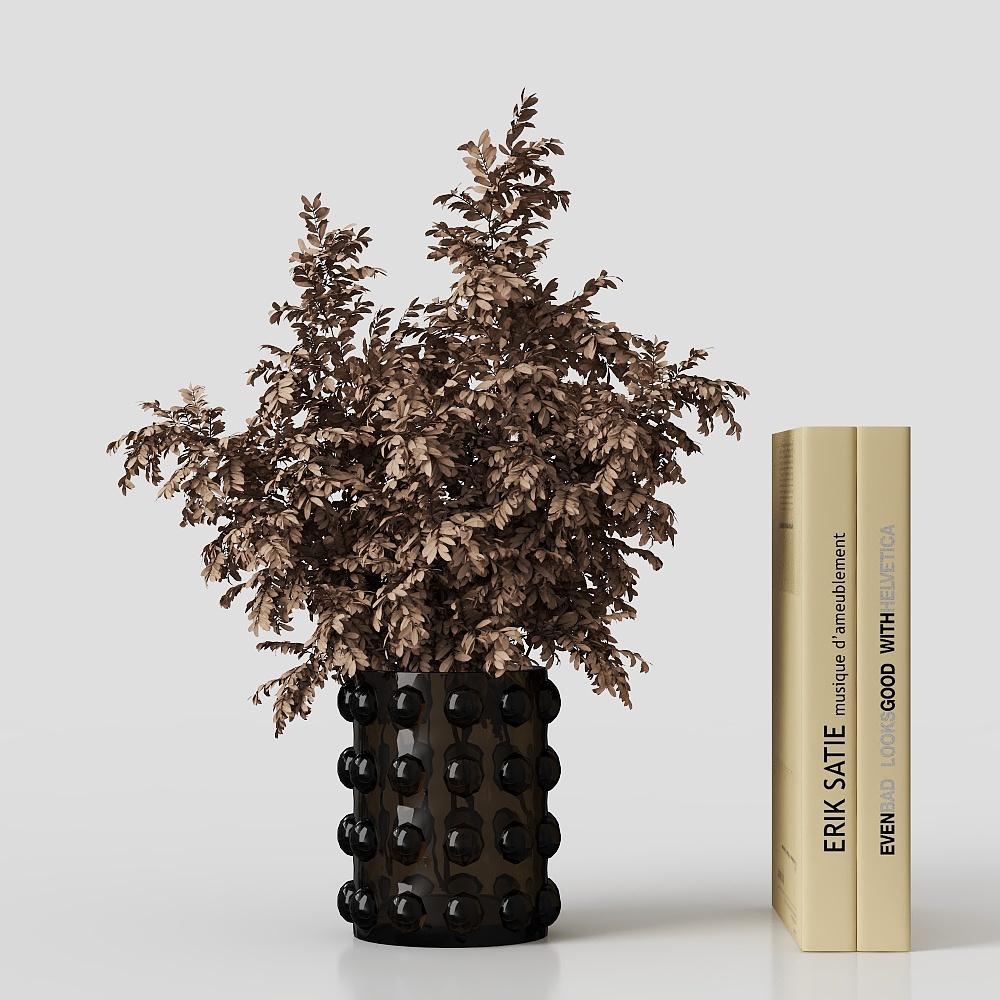 Modern entrance ornament combination