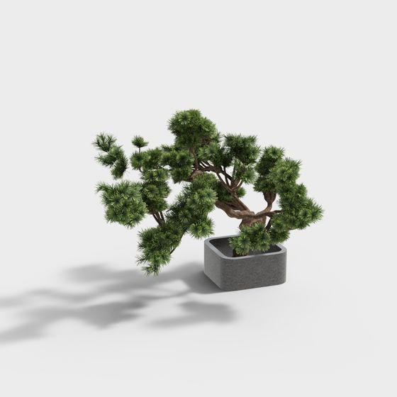 Low Poly Detailed Bonsai Tree 3D model