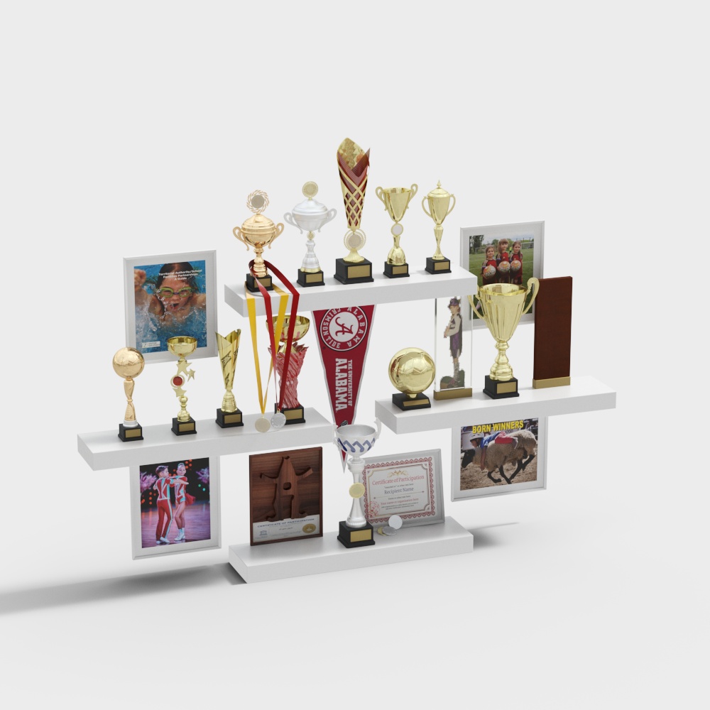 Trophy and Medal Display Rack in Bedroom