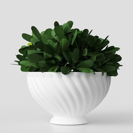 Elegant Planter 3D model