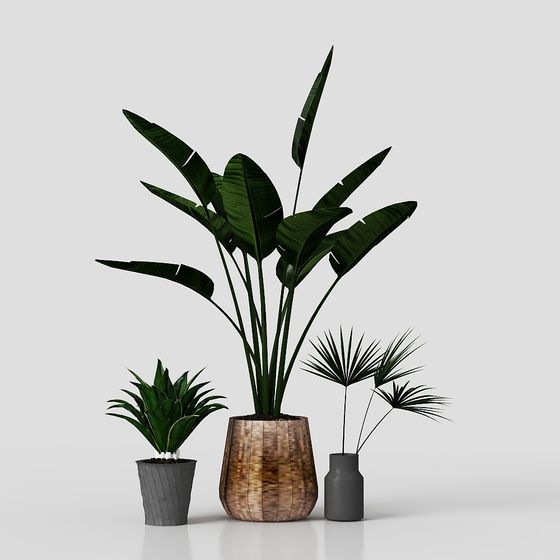 Vibrant Tropical Plant 3D model for Creative Spaces