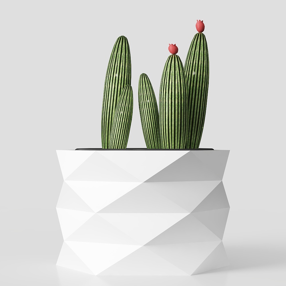 Cactus white flower pot table ornament