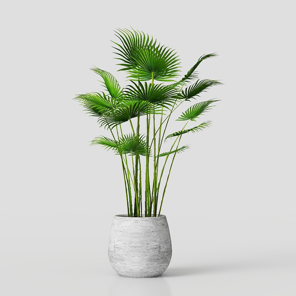 ชุดต้นไม้ใหญ่ 40