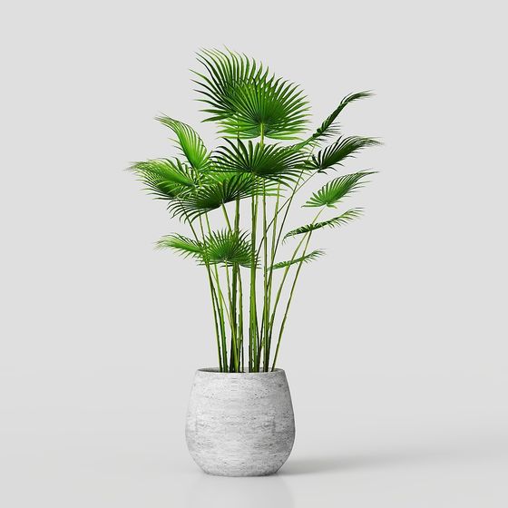 ชุดต้นไม้ใหญ่ 40