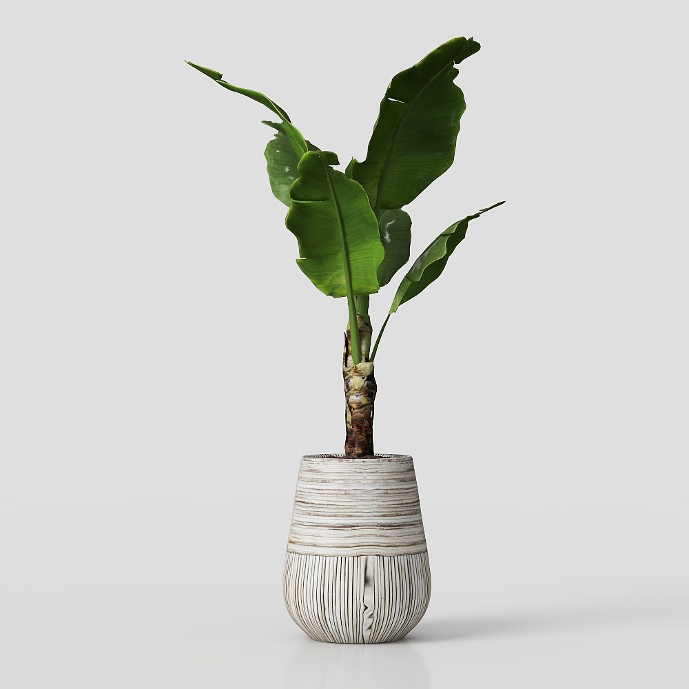 Grande ensemble de plantes 42