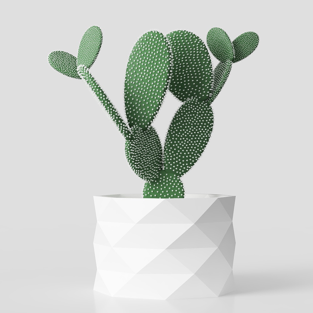 선인장 흰 꽃 화분 탁상 장식1