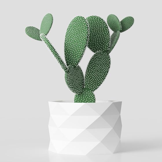선인장 흰 꽃 화분 탁상 장식1