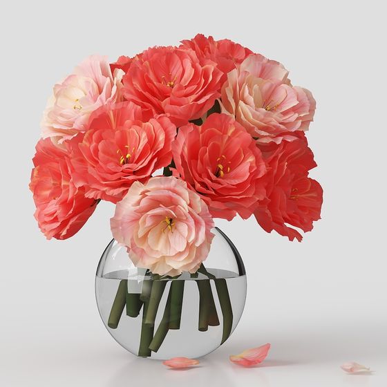 decorazione in vaso di fiori piante erba