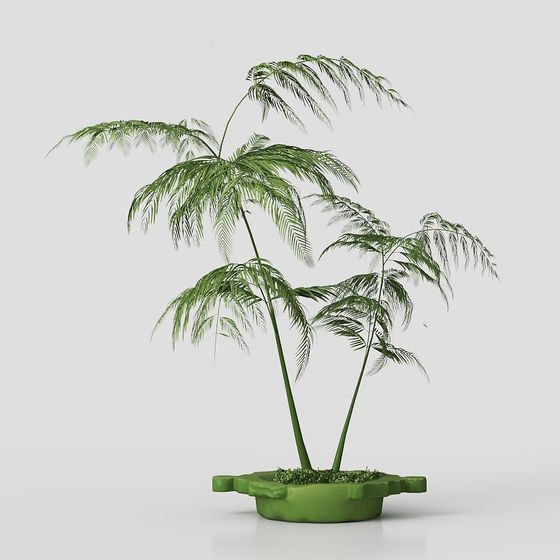 분재 3- 세 사람의 회사는 당당한 자라야 한다