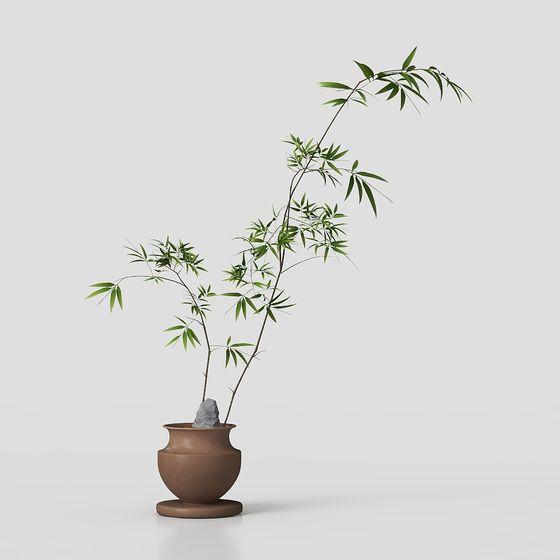 Zen Bamboo Bonsai 3D model