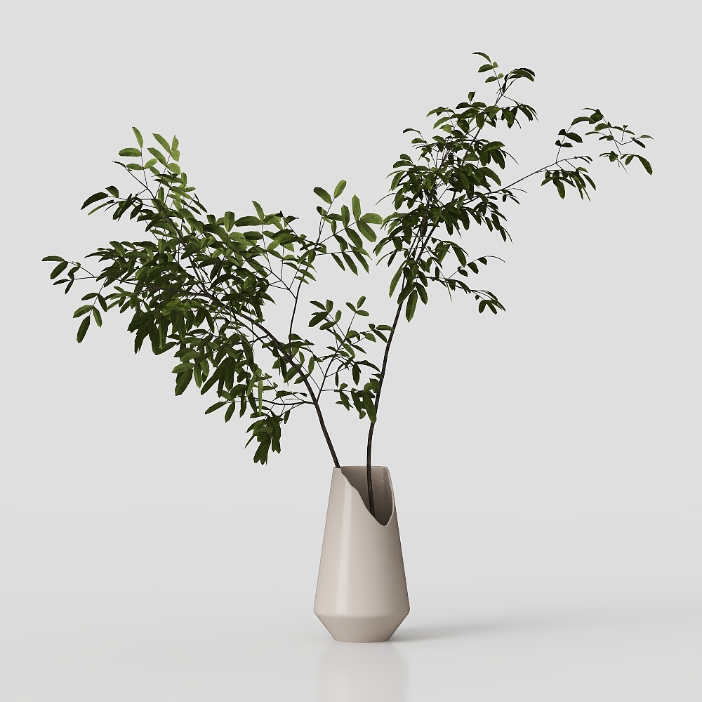 Vase with green plants