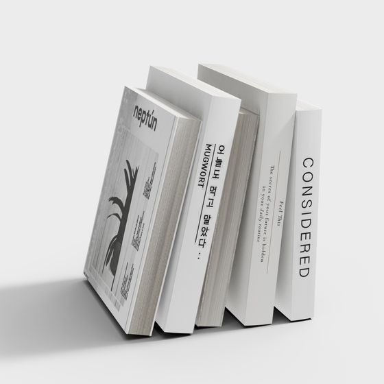 Elegant Minimalist Bookshelf 3D model