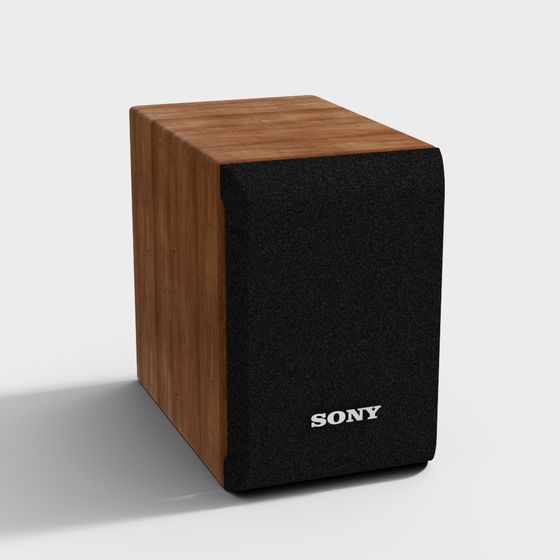 Sony Wooden Speaker 3D model