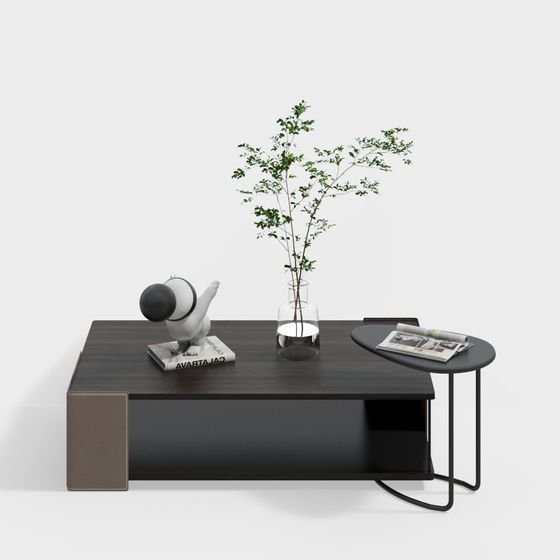 Bàn cà phê dạng dải cho phòng khách hiện đại