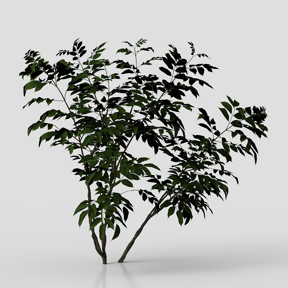 Spirit of the Forest 3D model