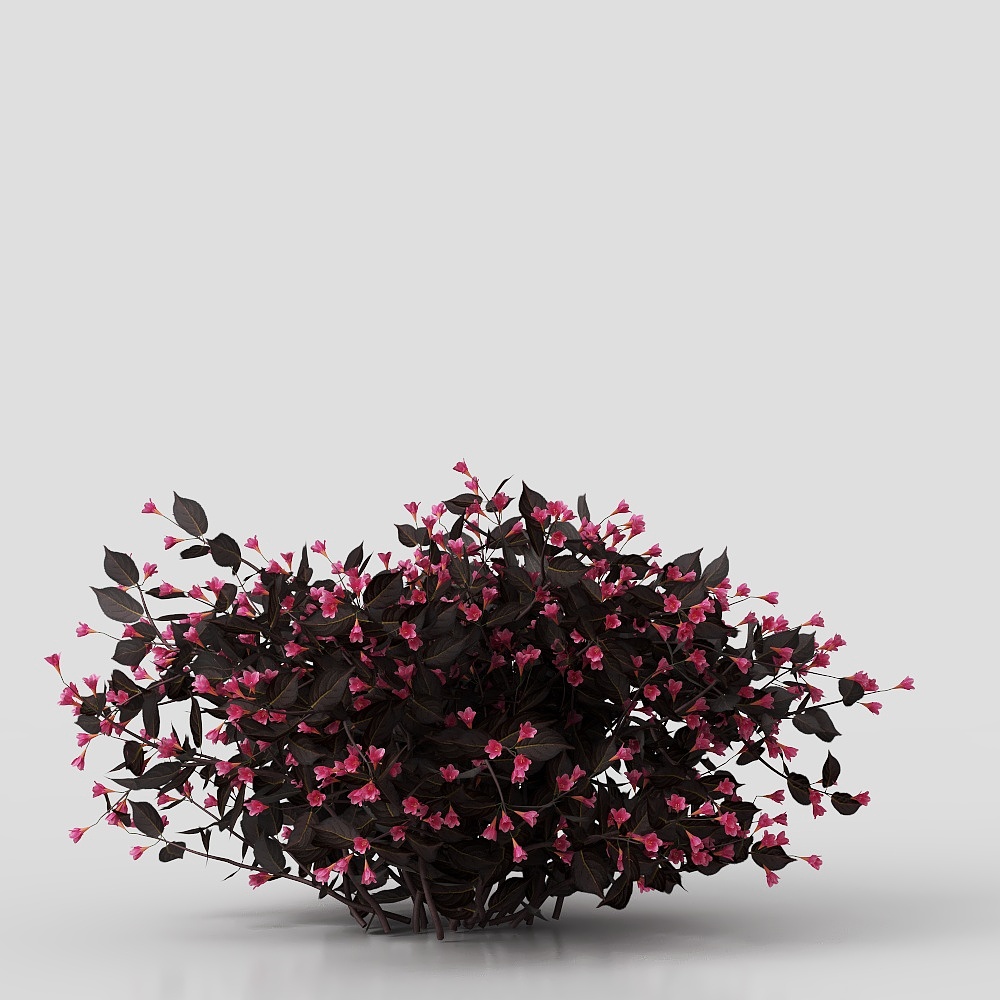 Modern Square Shrubs