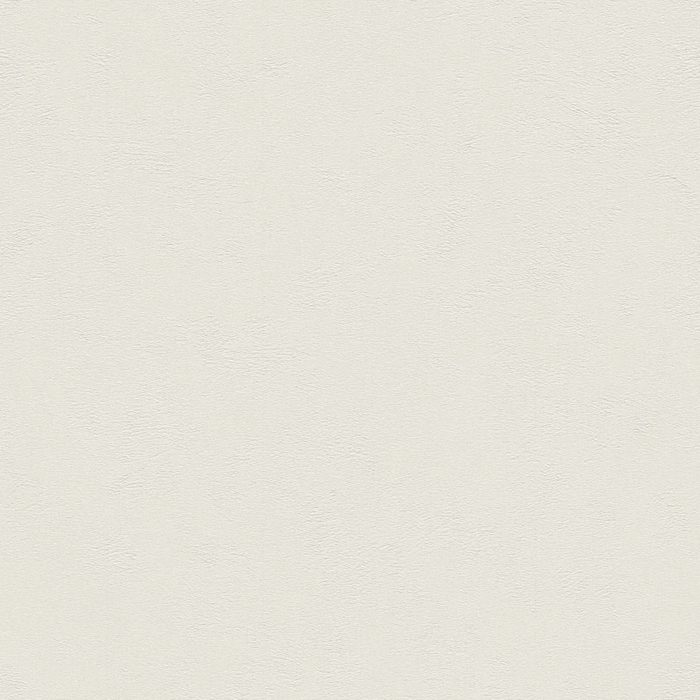 Le Blanc2- Plain color - Seamless wall cloth -LB2-55
