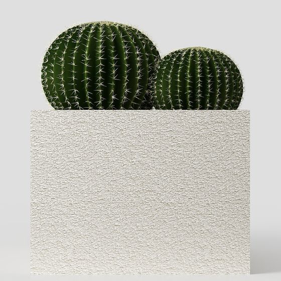 Desert Oasis 3D model for Modern Projects