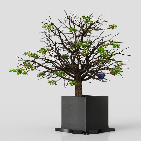Storytelling Potted Tree 3D model