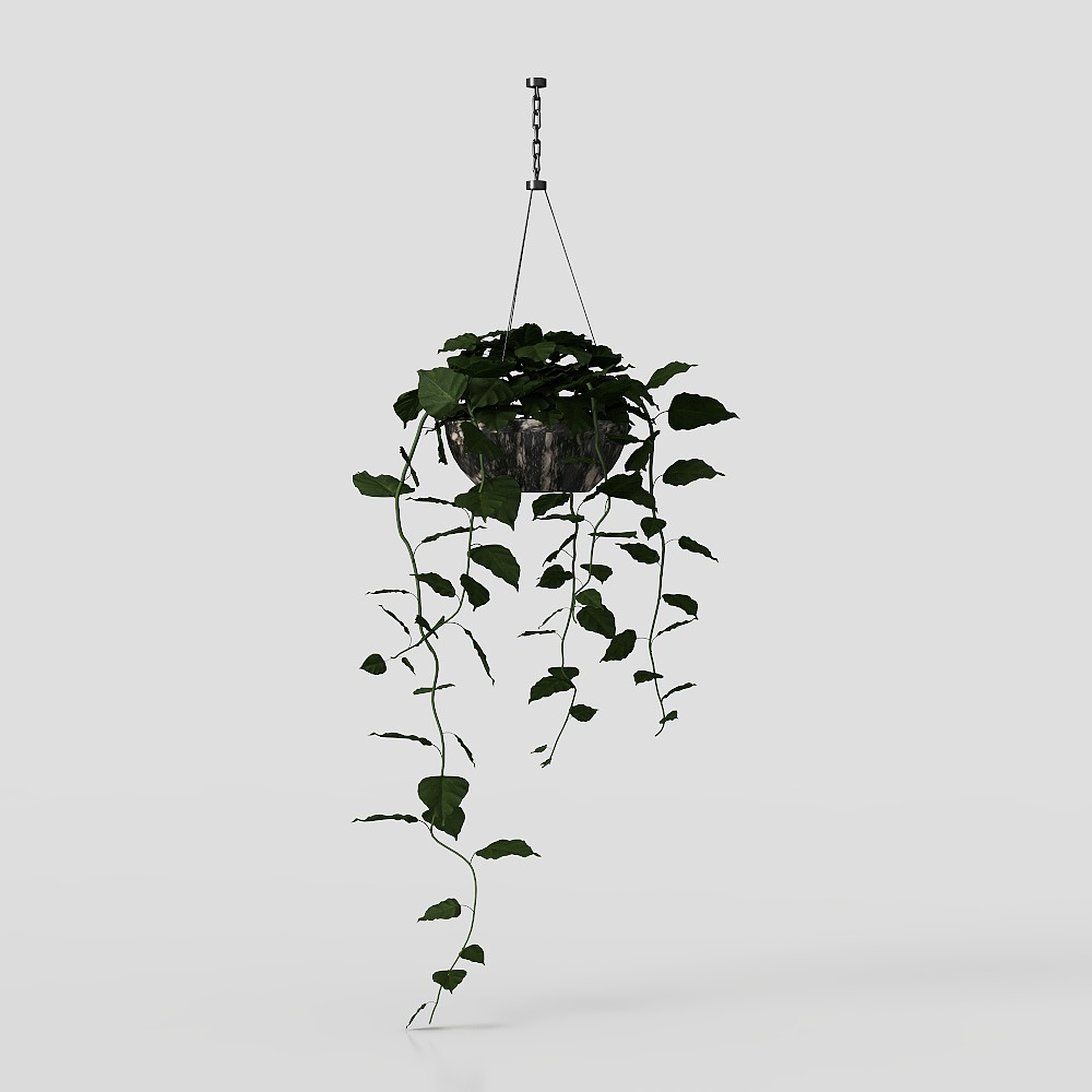 Minimalist Hanging Basket