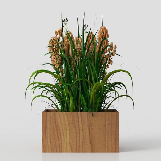 Low Polygon Decorative Floral Box 3D model