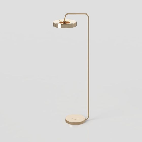 Chic Golden Floor Lamp 3D model