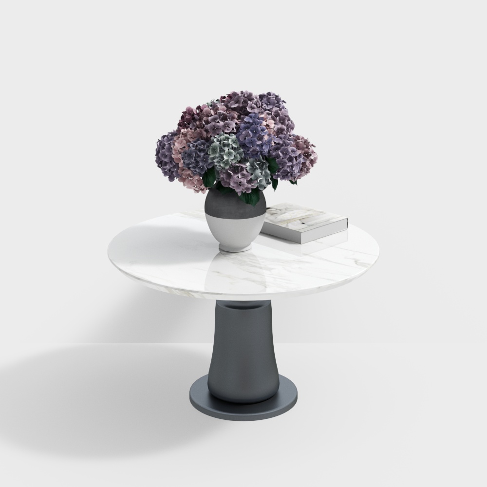 Modern Hospital Round Table