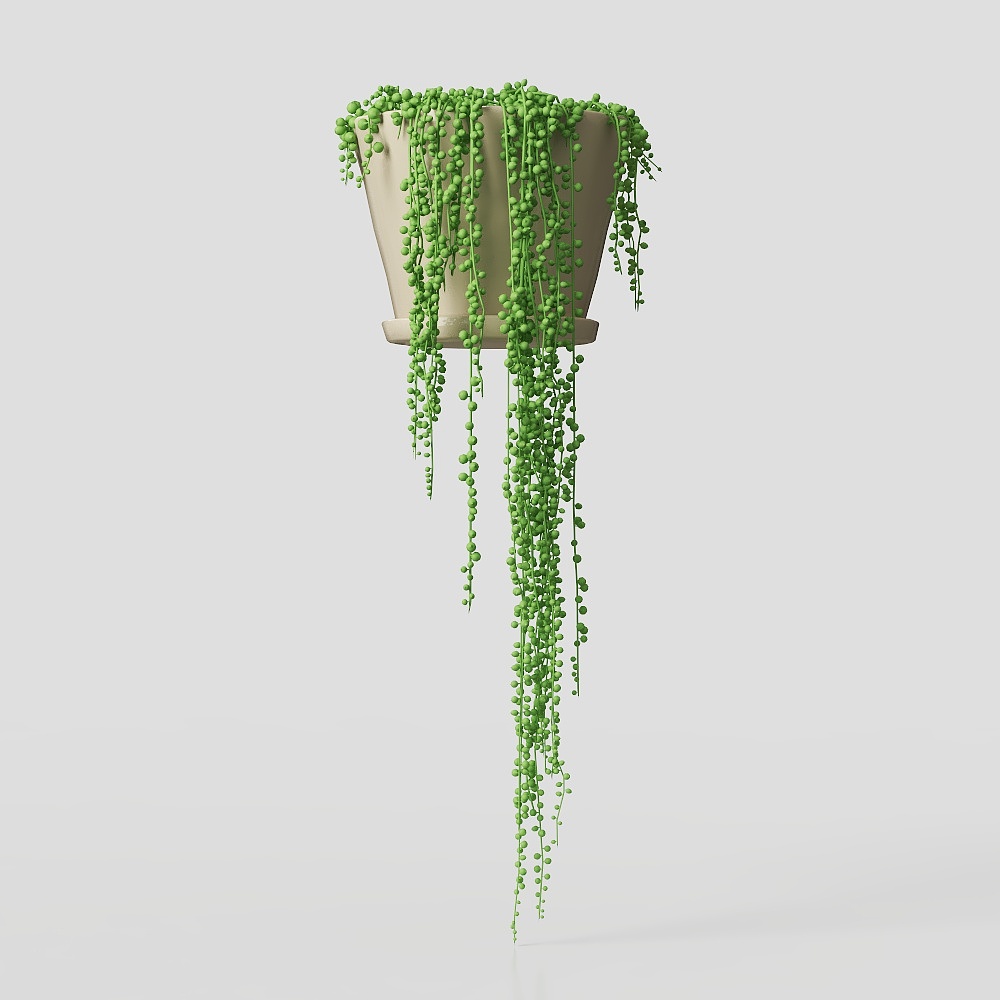 Modern Hanging Orchid Green Plant