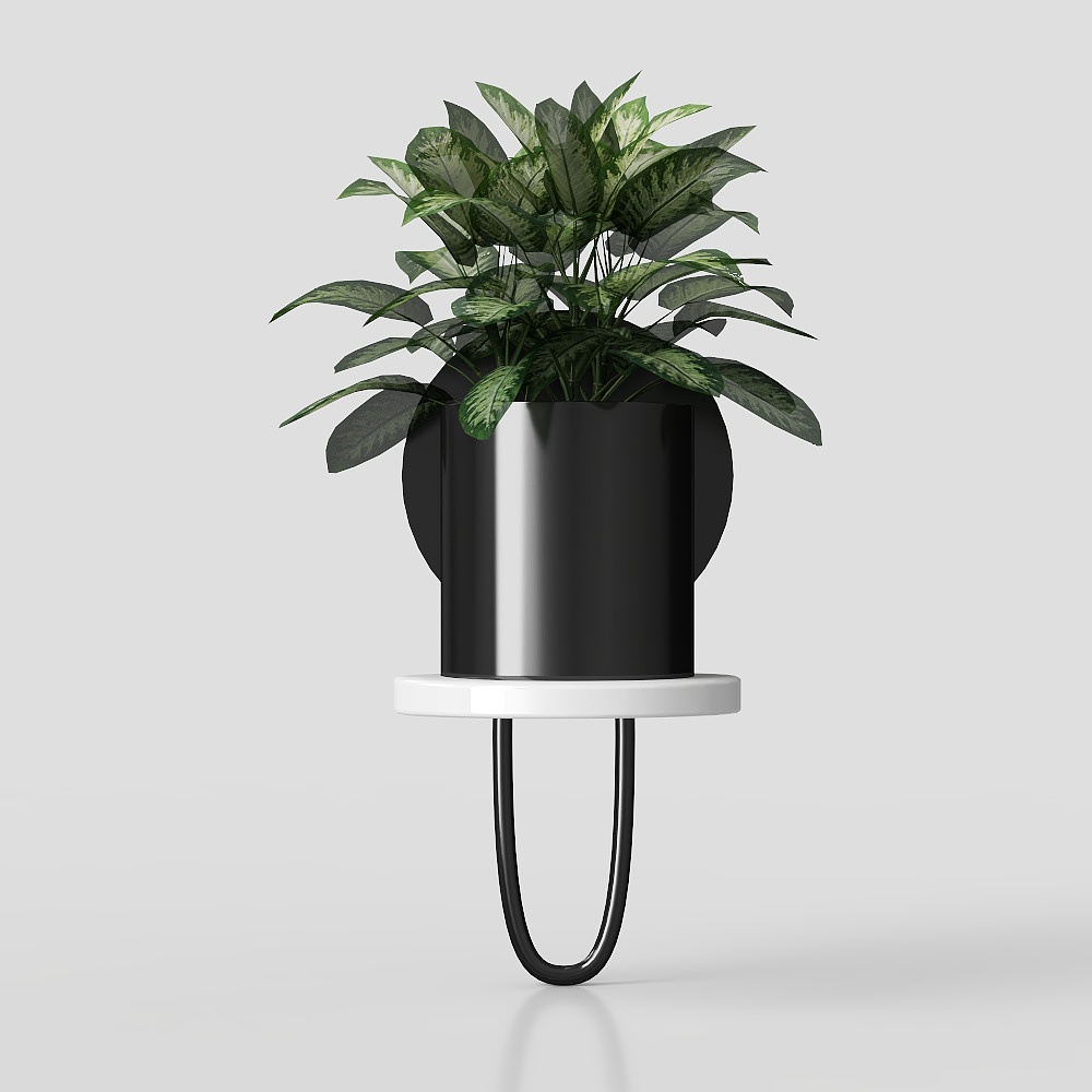 กล้วยไม้แขวนในร่มแบบสมัยใหม่